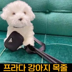 프라다 강아지목줄삼각로고파우치(블랙)